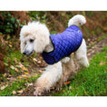 Load image into Gallery viewer, Henry Wag Purple Quilted Dog Jacket Large 55cm
