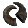 Load image into Gallery viewer, Doodles Deli Air Dried Water Buffalo Horn 1kg

