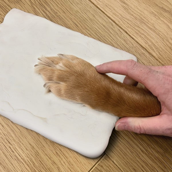 Oh So Precious Paw Print Clay Mould & Photo Frame Pet Keepsake Kit for Dogs & Cats