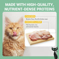 Load image into Gallery viewer, Schesir After Dark Wholefood Adult Cat Chicken & Beef 80g
