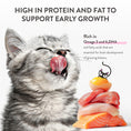 Load image into Gallery viewer, Schesir Baby Wholefood Kitten Cat Chicken & Salmon 70g
