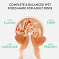 Load image into Gallery viewer, Schesir Taste The World Adult Dog Variety Pack 6X150g
