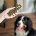 Load image into Gallery viewer, Petello Nobblys Mint Dog Chew Natural Breath Freshening Dog Treat 60g
