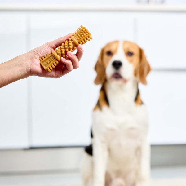 Petello Nobblys Tough Dog Chew Brush Peanut Butter Flavor 25g Durable Dental Treat