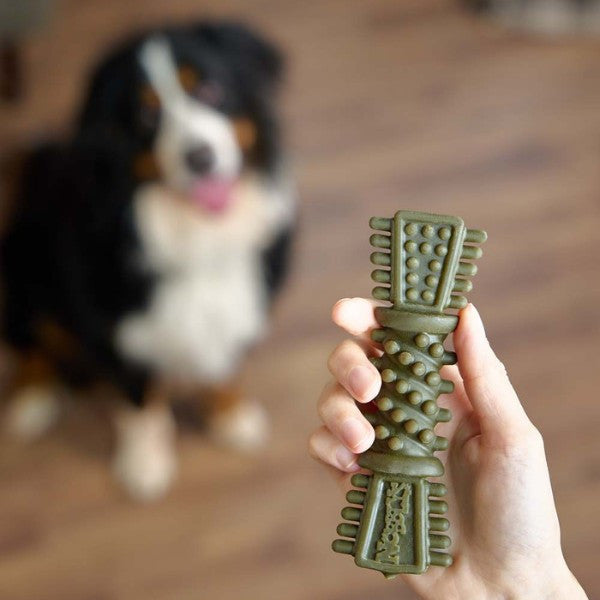 Petello Nobblys Tough Brush Mint 50g Chew Treat for Dogs, Dental Care, Long-Lasting Snack