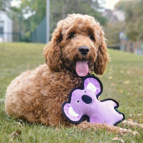 Beco Recycled Dog Toy Rough and Tough Koala Medium Durable Eco-Friendly Chew Toy for Dogs
