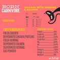 Load image into Gallery viewer, Schesir Dry Born Carnivore Herring & Salmon Adult 255g Case of 8
