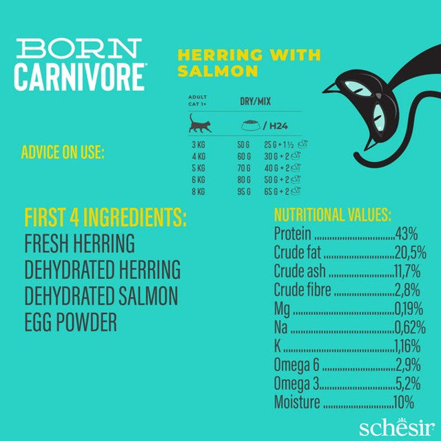 Schesir Dry Born Carnivore Herring & Salmon Adult 1.25Kg
