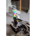 Load image into Gallery viewer, Rosewood Moody Moggy Rainbow Teaser Cat Toy Interactive Feline Play
