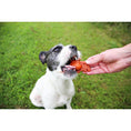 Load image into Gallery viewer, Petello Nobblys Hippo-Shaped Animal Treat Pumpkin Flavor 40g
