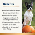 Load image into Gallery viewer, Karnlea Pumpkin Powder for Dogs 200g

