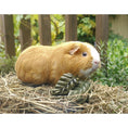 Load image into Gallery viewer, Rosewood Veggie Burst Cat Treats Healthy Nibble Leaves for Cats, Grain-Free & Natural
