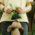 Load image into Gallery viewer, Beco Recycled Poop Bags Mint Scented with Handles 120 Pack Eco-Friendly Dog Waste Bags
