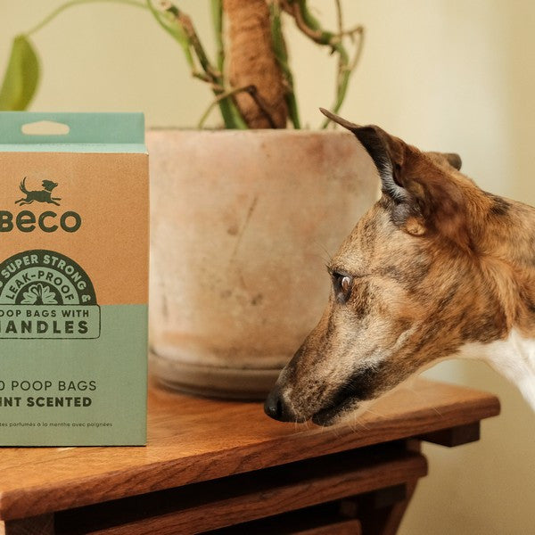 Beco Recycled Poop Bags Mint Scented with Handles 120 Pack Eco-Friendly Dog Waste Bags
