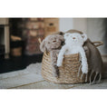 Load image into Gallery viewer, Rosewood My Dog Bear Plush Toy Interactive Soft Dog Toy for Chewing & Play
