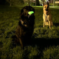 Load image into Gallery viewer, Sportspet Ball Ultimate Glow in the Dark
