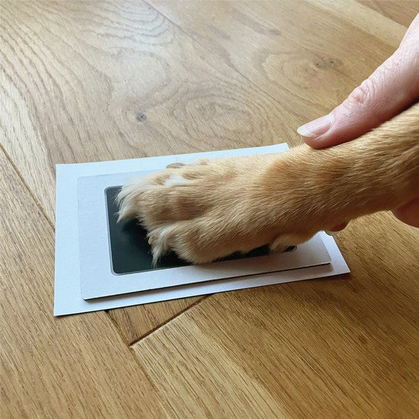 Oh So Precious Pet Memory Box Personalized Pet Keepsake & Remembrance Kit for Dogs & Cats