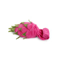 Load image into Gallery viewer, All For Paws Dig It Dragon Fruit Puzzle Toy
