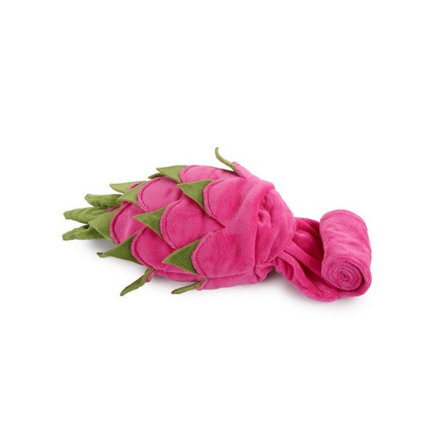All For Paws Dig It Dragon Fruit Puzzle Toy