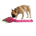 Load image into Gallery viewer, All For Paws Dig It Dragon Fruit Puzzle Toy
