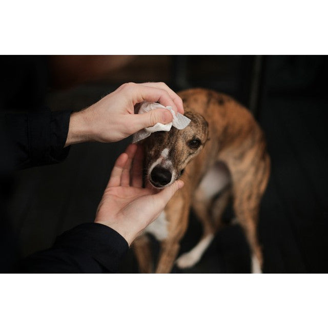 Beco Bamboo Travel Wipes Unscented Plastic-Free Eco-Friendly Pet Cleaning Wipes