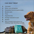 Load image into Gallery viewer, Charlie The Vet Pet First Aid Kit  Emergency Care Supplies for Dogs & Cats Compact Travel-Friendly Kit
