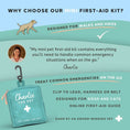 Load image into Gallery viewer, Charlie The Vet Mini Pet First Aid Kit Emergency Pet Care Supplies for Dogs & Cats Compact Travel-Friendly Kit
