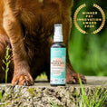 Load image into Gallery viewer, Charlie The Vet Antiseptic Wound & Skin Care Spray for Pets & Livestock 100ml Multi-Animal Healing & Skin Protection
