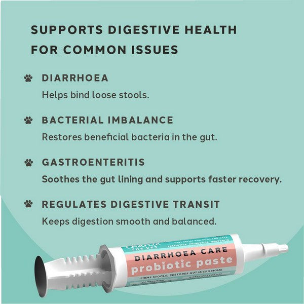 Charlie The Vet Probiotic Paste for Diarrhoea Relief Dogs & Cats 60ml Digestive Care Supplement