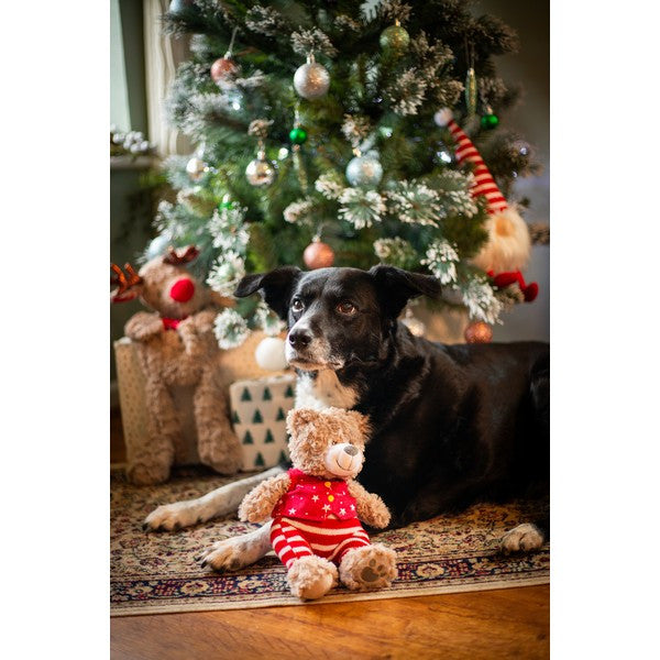 Rosewood Buddy Bear Dog Toy Set Soft Plush Chew & Fetch Toy
