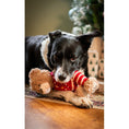 Load image into Gallery viewer, Rosewood Buddy Bear Dog Toy Set Soft Plush Chew & Fetch Toy
