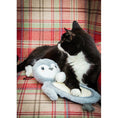 Load image into Gallery viewer, Rosewood Mr Poppy Penguin Dog Toy Interactive Chew & Fetch Set
