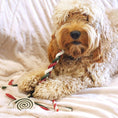 Load image into Gallery viewer, Rosewood Dog Chew Toy No Rawhide Bumper Gift Bag 280g for Dogs
