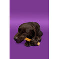 Load image into Gallery viewer, Pawtential Collagen Chew Beef Flavor Large 110g Dog Dental Treats, Joint Support, Healthy Chews
