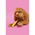 Load image into Gallery viewer, Pawtential Collagen Chew for Dogs Peanut Flavour, Large 110g Healthy Dental & Joint Support Treat
