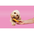 Load image into Gallery viewer, Pawtential Collagen Dog Chew Chicken Flavor, Medium 70g Healthy Teeth & Joints Treat
