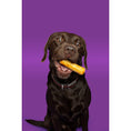 Load image into Gallery viewer, Pawtential Collagen Chew Salmon Flavor Medium 70g Healthy Dog Treat for Joints & Skin
