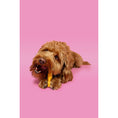 Load image into Gallery viewer, Pawtential Collagen Chew Beef Flavour Small 36g Healthy Dog Treats for Joint & Skin Support
