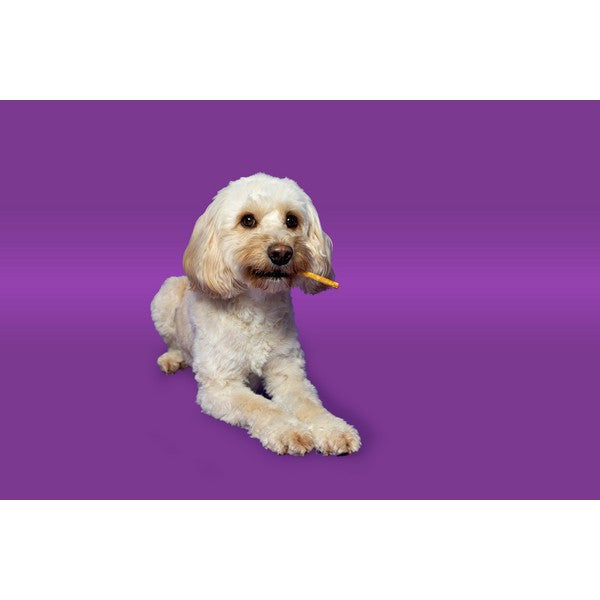 Pawtential Collagen Chew XS Beef Flavor Dog Treats 6 Sticks, Healthy Joint Support