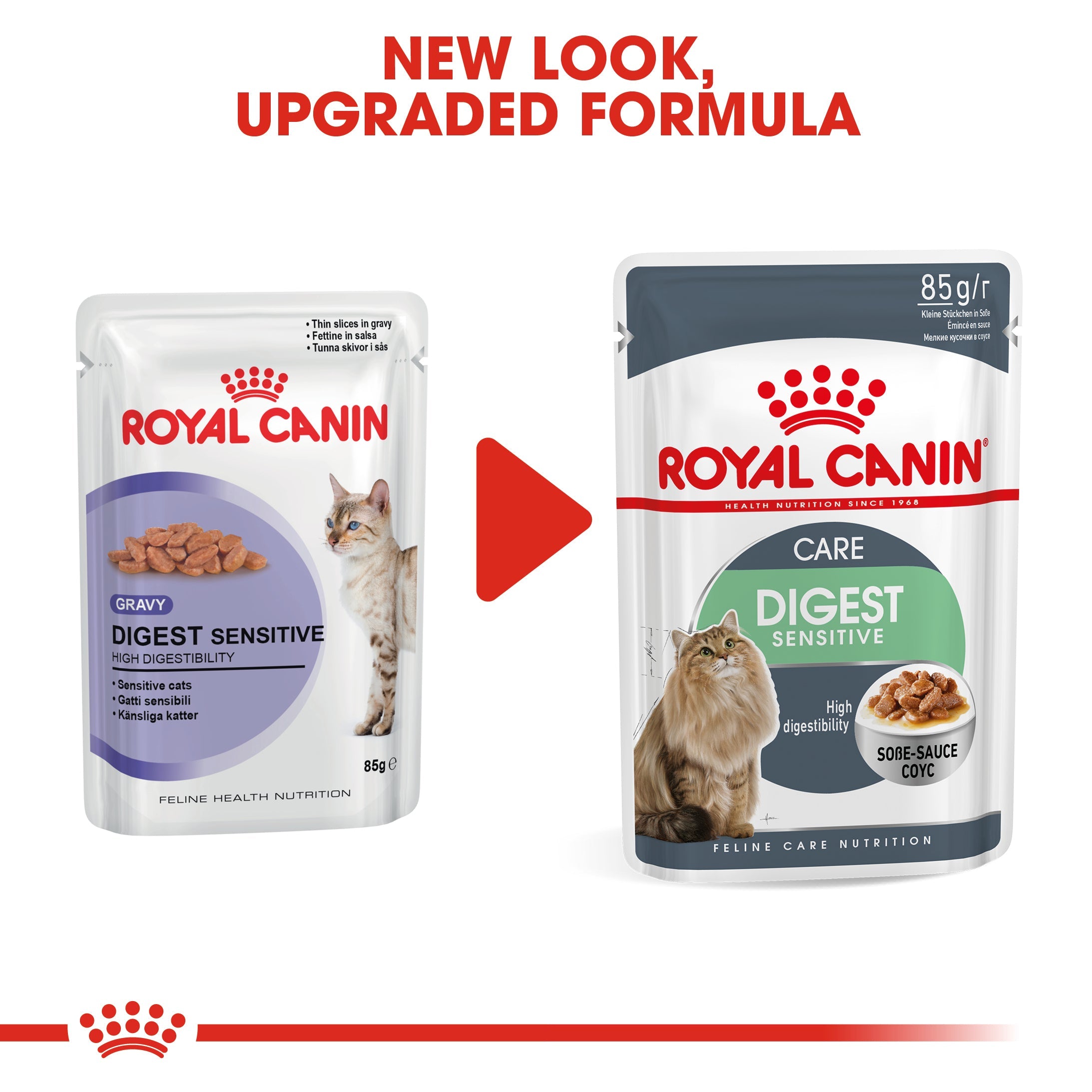 Royal Canin Digest Sensitive Care In Gravy Adult Wet Cat Food