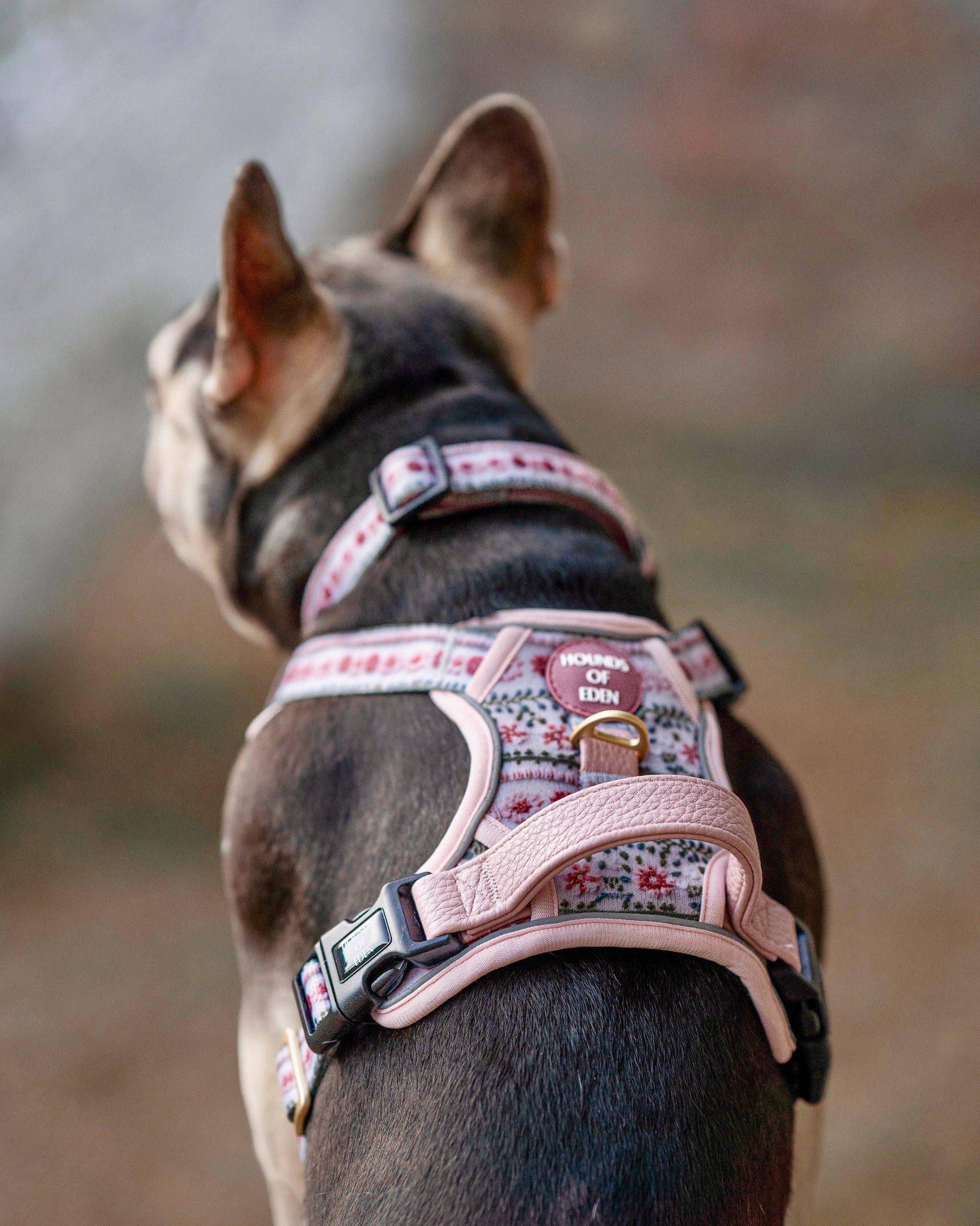 Bella's Jumper Supaw Strong Lite™ Dog Harness (XS-XL): Medium