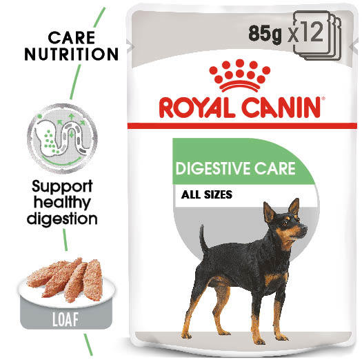 Royal Canin Digestive Care Wet Pouches Adult Dog Food