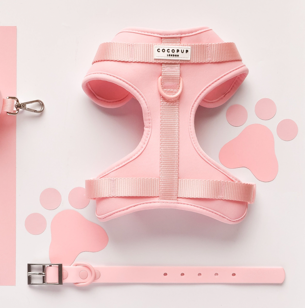 NAKD Adjustable Neck Harness - Candyfloss: M
