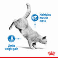 Load image into Gallery viewer, Royal Canin Light Weight Care Adult Wet Cat Food
