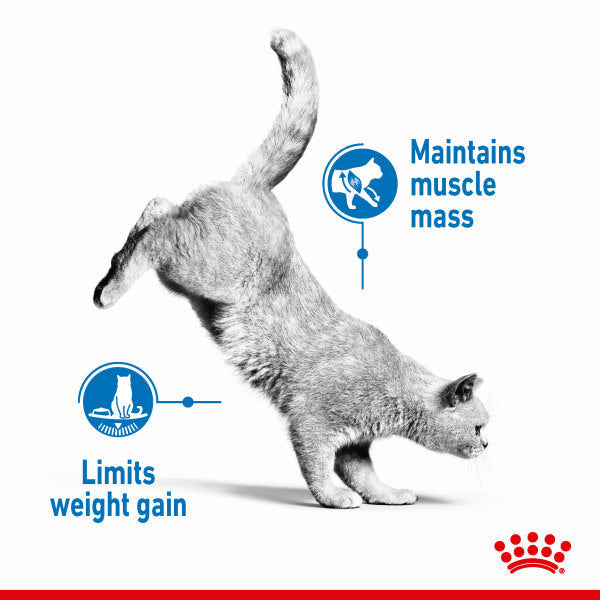 Royal Canin Light Weight Care Adult Wet Cat Food