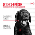 Load image into Gallery viewer, Royal Canin Puppy Supplement for Immunity & Digestion Soft Chews  100g
