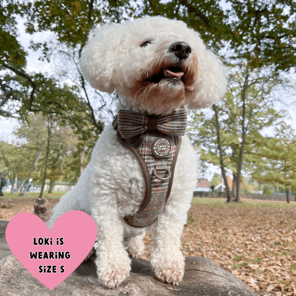 Trail & Glow Tweed Dog Harness & Lead Set - Colour Drops - Heritage Plaid: XS