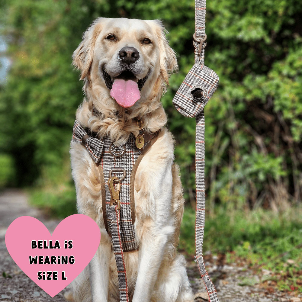 Trail & Glow Tweed Dog Harness & Lead Set - Colour Drops - Heritage Plaid: S