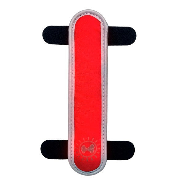 Animal Instincts Flashing LED Safety Dog Collar Clip High Visibility Night Pet Accessory Mixed Colors