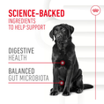 Load image into Gallery viewer, Royal Canin Dog Supplement for Digestion Soft Chews  160g
